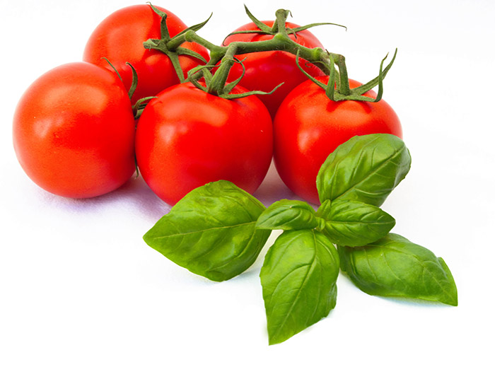 tomaten-basilikum